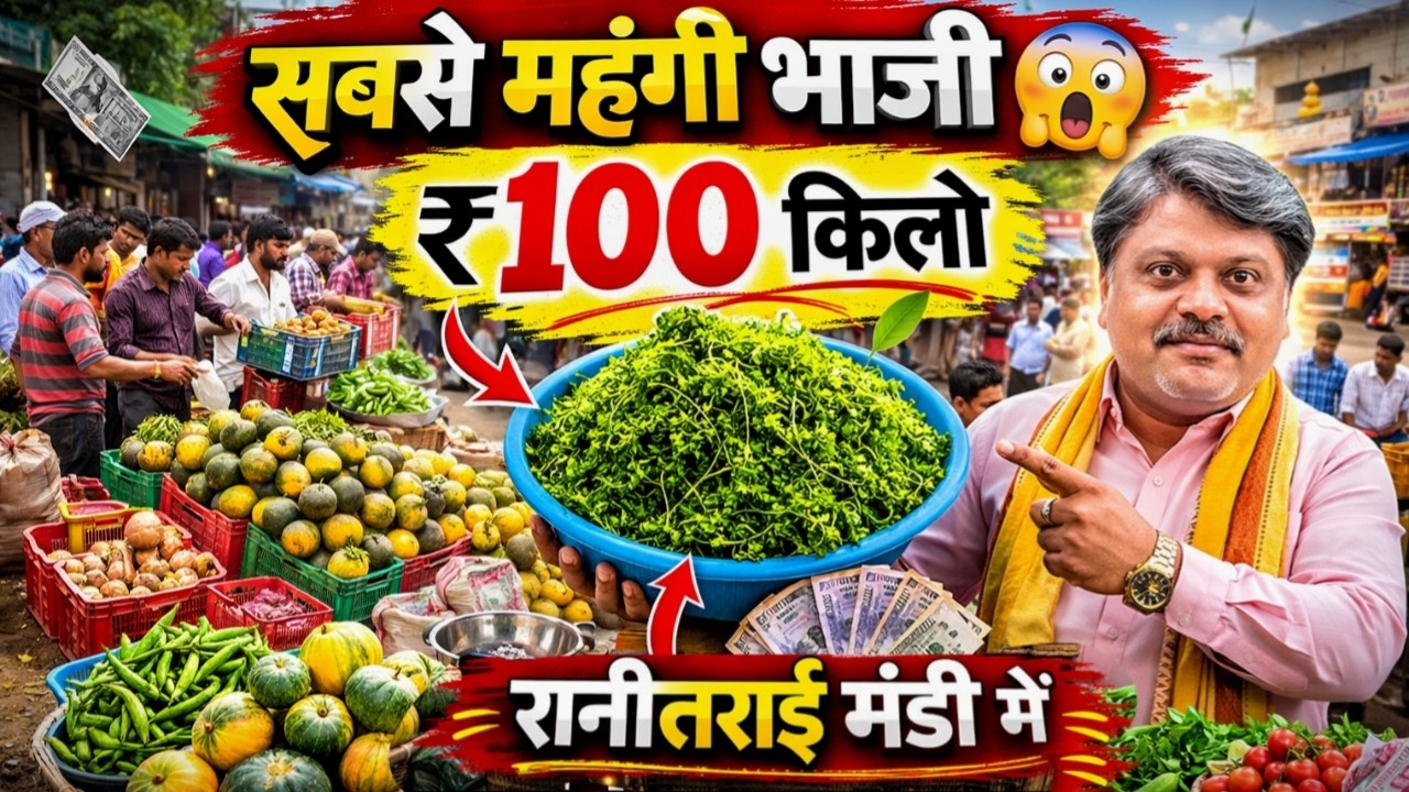 रानी तराई मंडी में आज सबसे महंगी भाजी कौन सी है 😲 | Mandi Tour