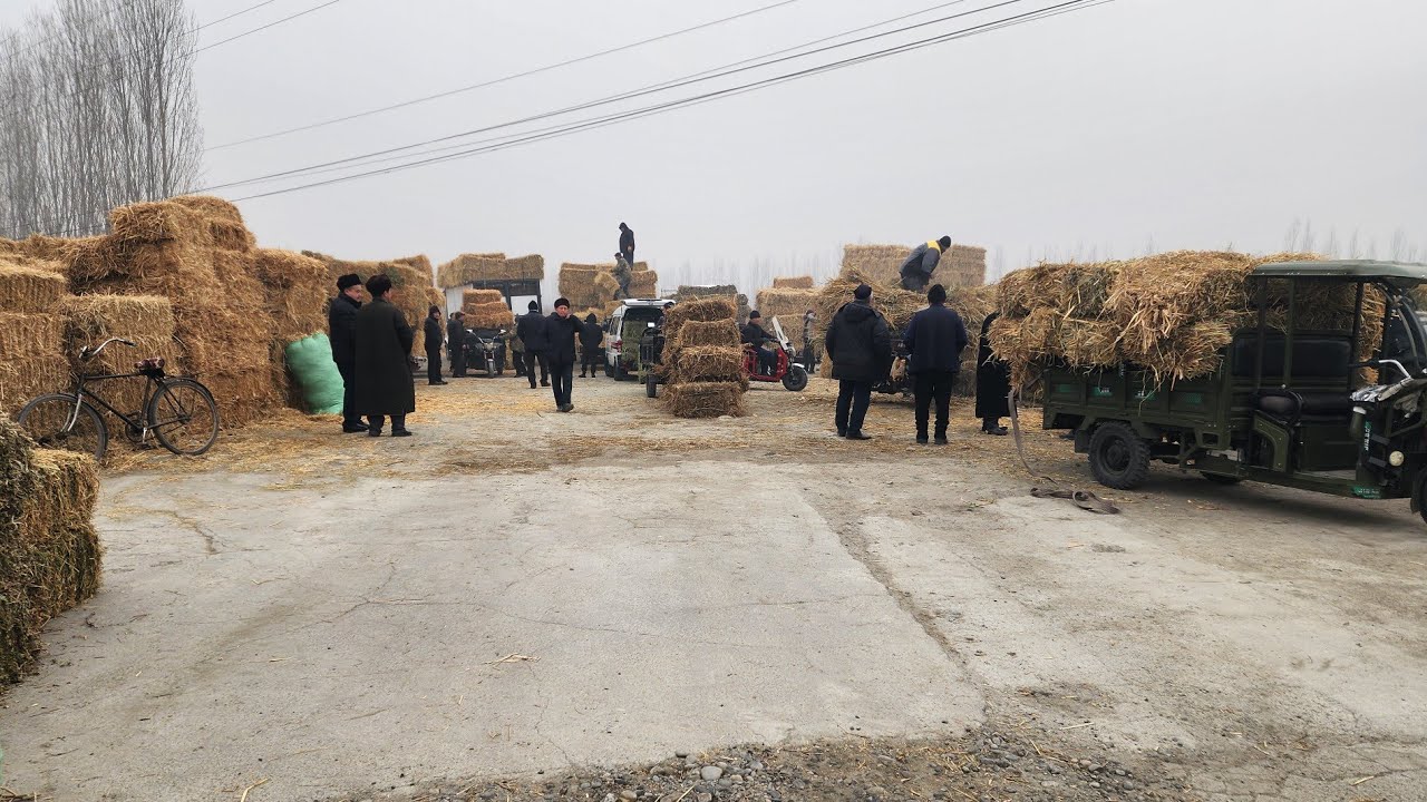 DO'RMANCHA YEM-HASHAK BOZORI NARXLARI. 