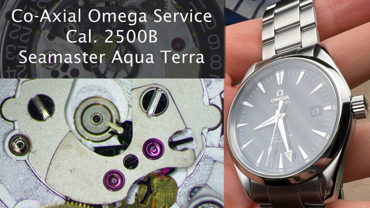 Co-Axial Omega Service - New Camera Setup - Seamaster Aqua Terra 2500B - Watch Service and Repair