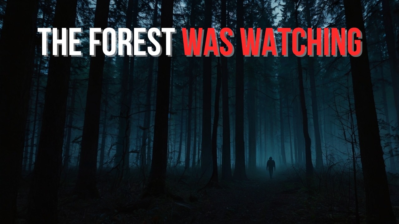 We Shouldn’t Have Gone Into the Woods | 4 True Horror Stories