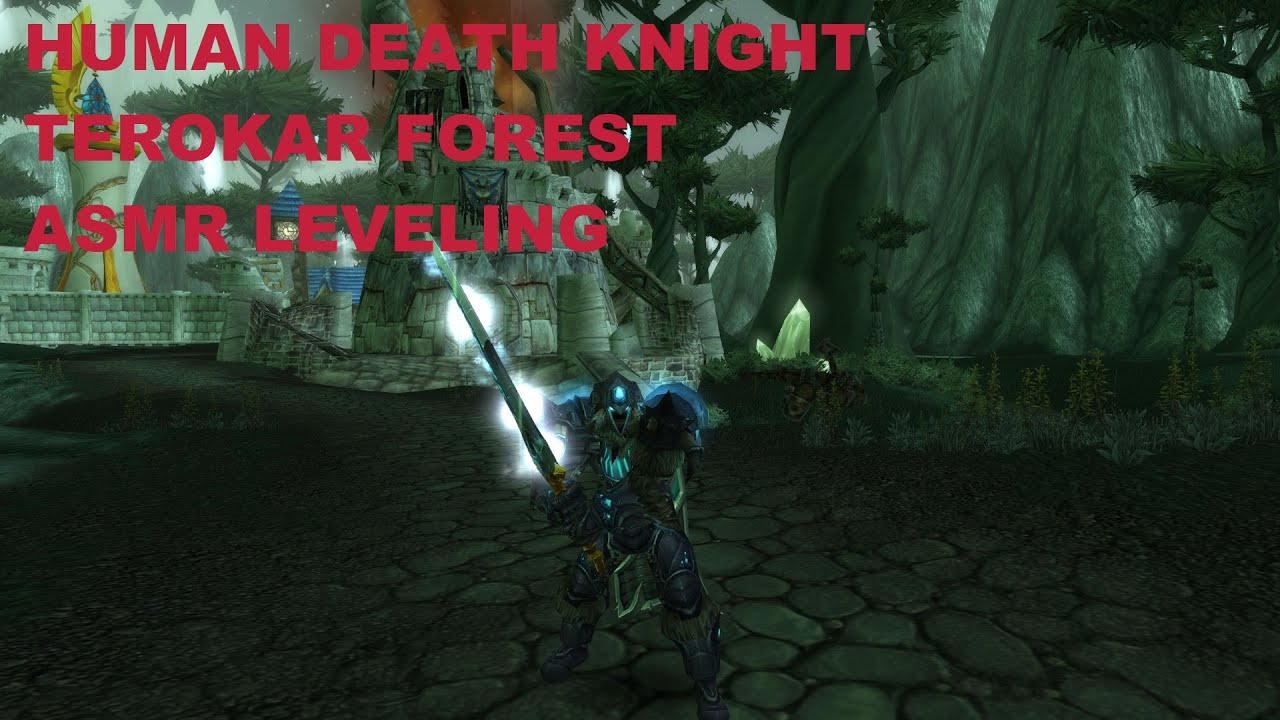 WoW Wrath of the Lich King Classic, ASMR Death Knight Terokar Forest Leveling, No Commentary