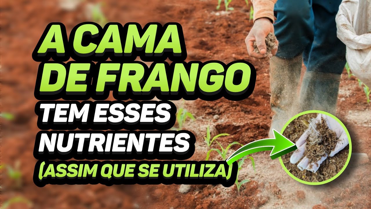 NUTRIENTES DISPONÍVEIS NOS ESTERCOS - Quantidades e Utilização