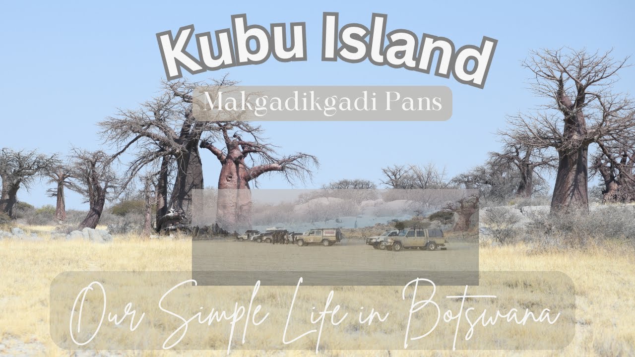 KUBU ISLAND AND SURROUNDINGS/MAKGADIKGADI PANS/All you want to know