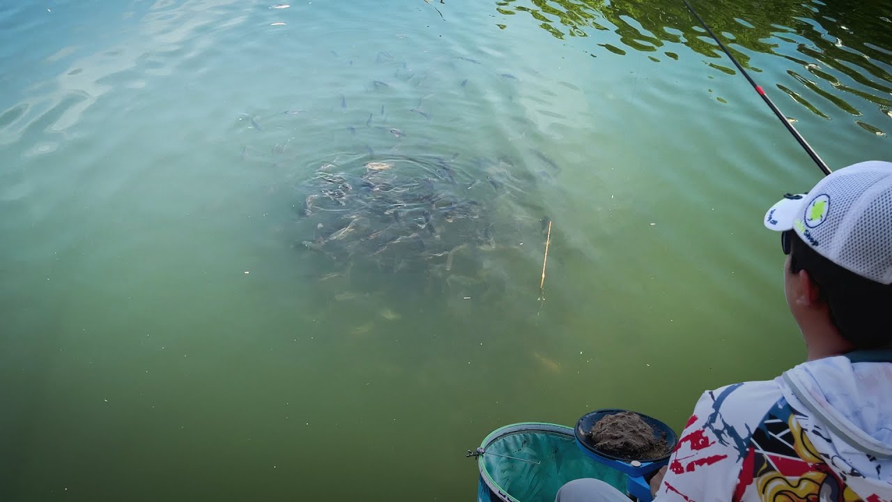 ĐI CÂU QUÊN MANG CHÀI