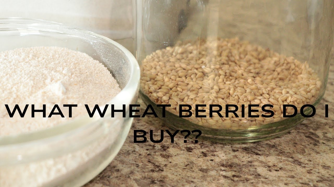 How to Choose the Right Wheat Berries to get Started on Your Whole Grain Milling Journey