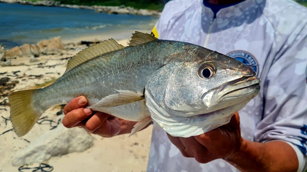 FISHING FOR KABELJOU/STRAND AND BETTY'S BAY