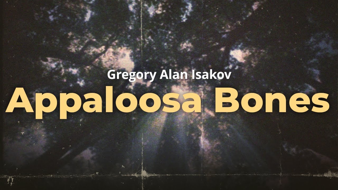 gregory alan isakov - appaloosa bones (lyrics)