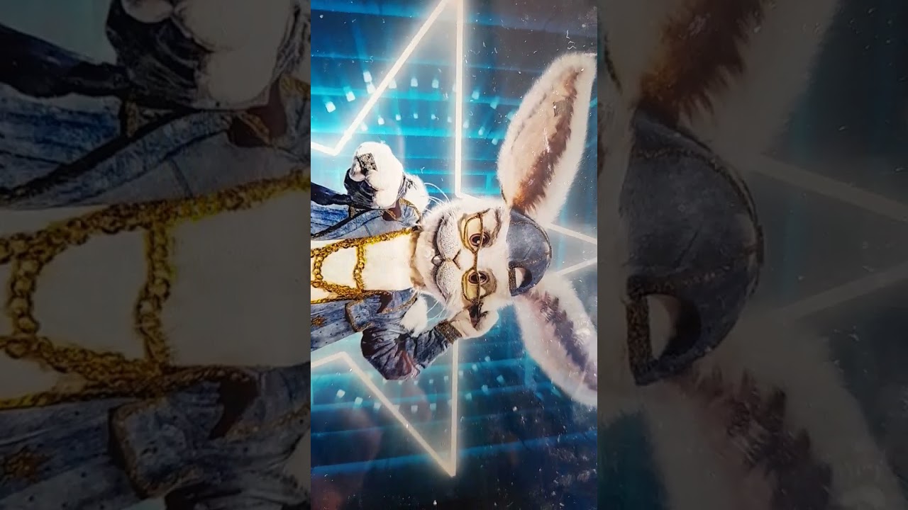 TMY easter special face off 1 (rabbit Begium vs rabbit US)