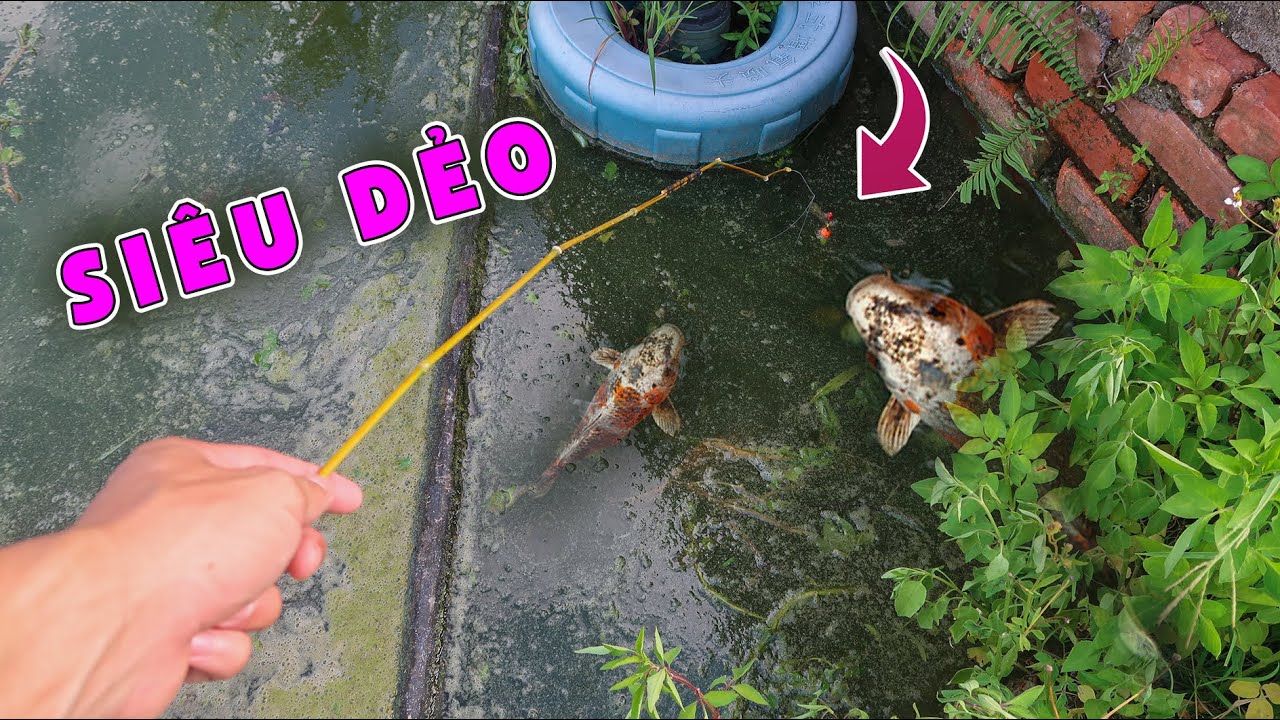 Lạ Vlog Chế Tạo Cần C&acirc;u DẺO nhất Thế giới ( C&Acirc;U C&Aacute; BẰNG MỒM )