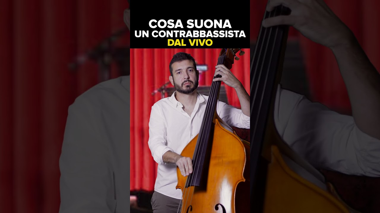 Il contrabbassista