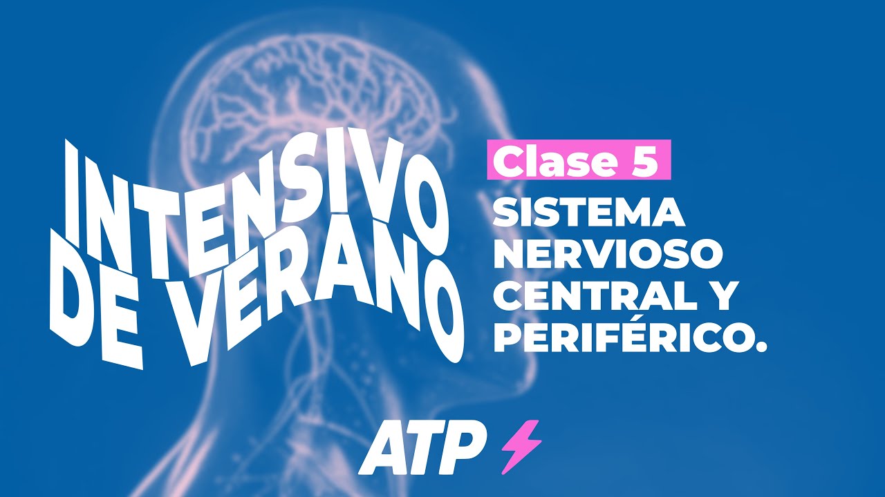 Intensivo CyD | Clase 5: Sistema Nervioso