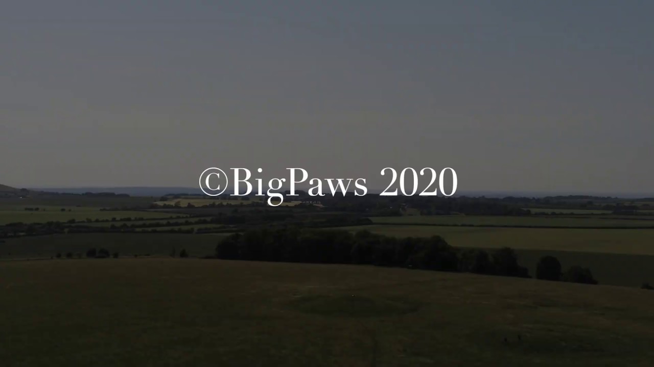 Windmill Hill Avebury