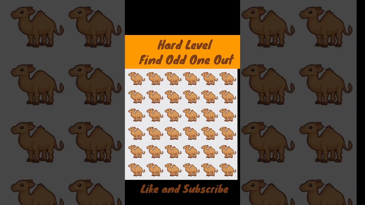 Find Odd One Out Puzzle 41  || PUZZLE CORNER #shorts