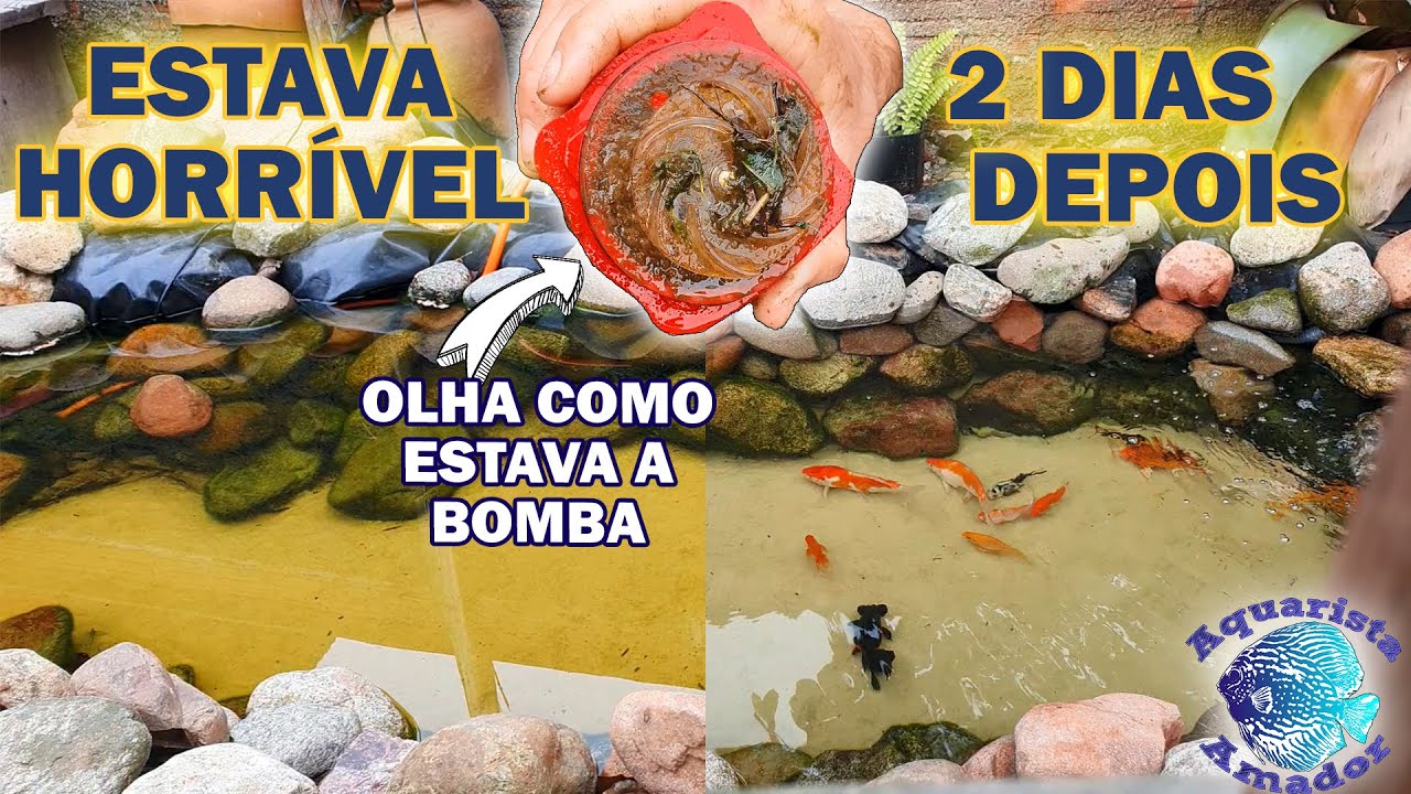 COMO UMA MUDANÇA SIMPLES SALVOU ESSE LAGO!