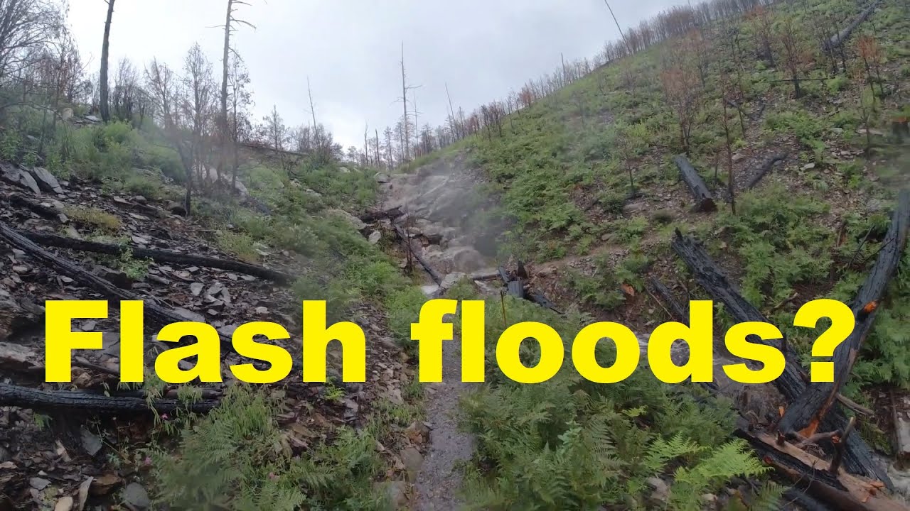 Arizona Monsoon Hiking from Sabino Canyon to Mt Lemmon (near Tucson)
