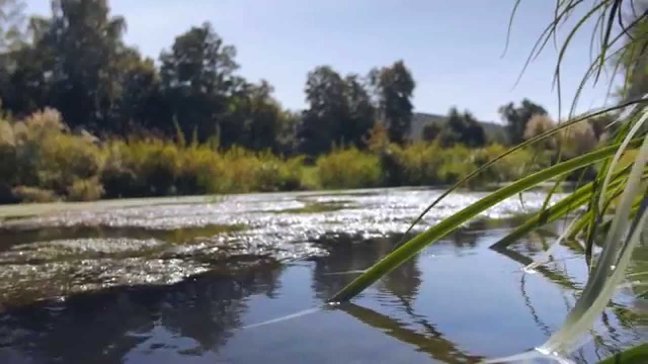Landshut Flutmulde 4K