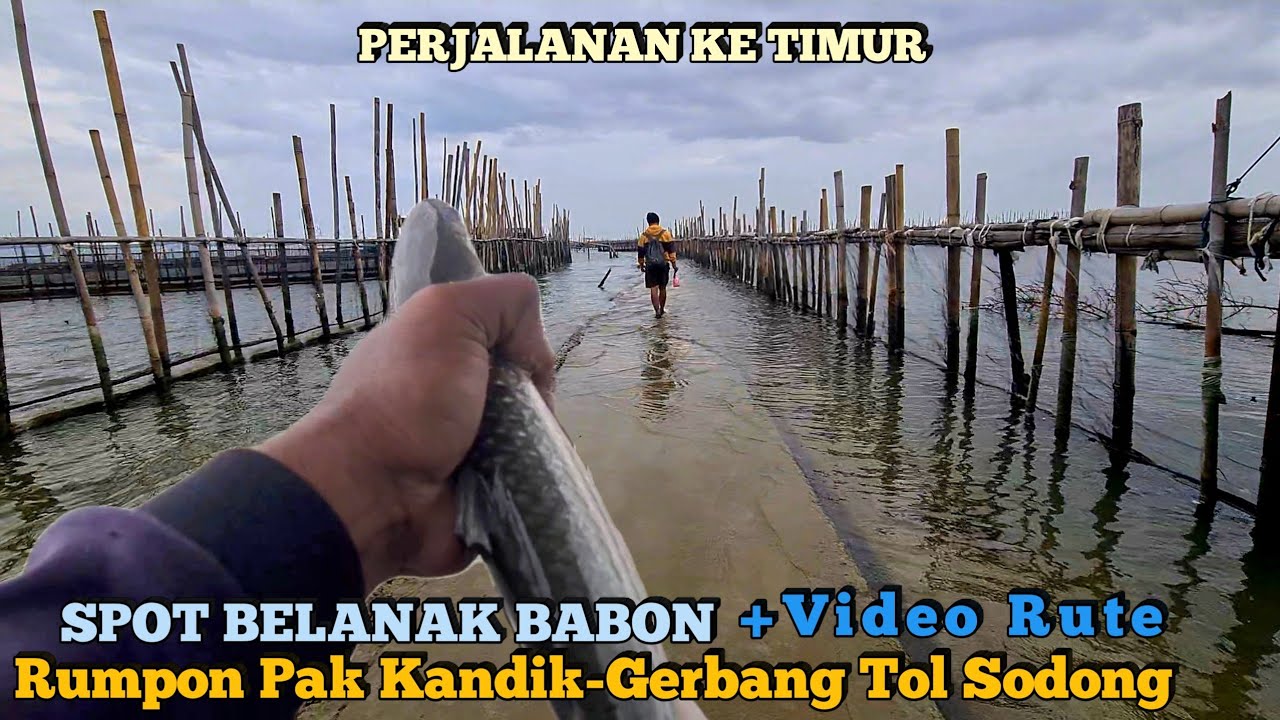 PLUNG TERR NYUTT !! Pulang Gak Jadi Boncos Karena Nemu Spot Gacor