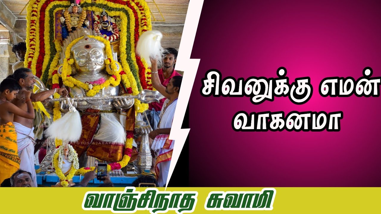 காசிக்கு நிகரான ஸ்ரீவாஞ்சியம் கோவில் @vlogmachi