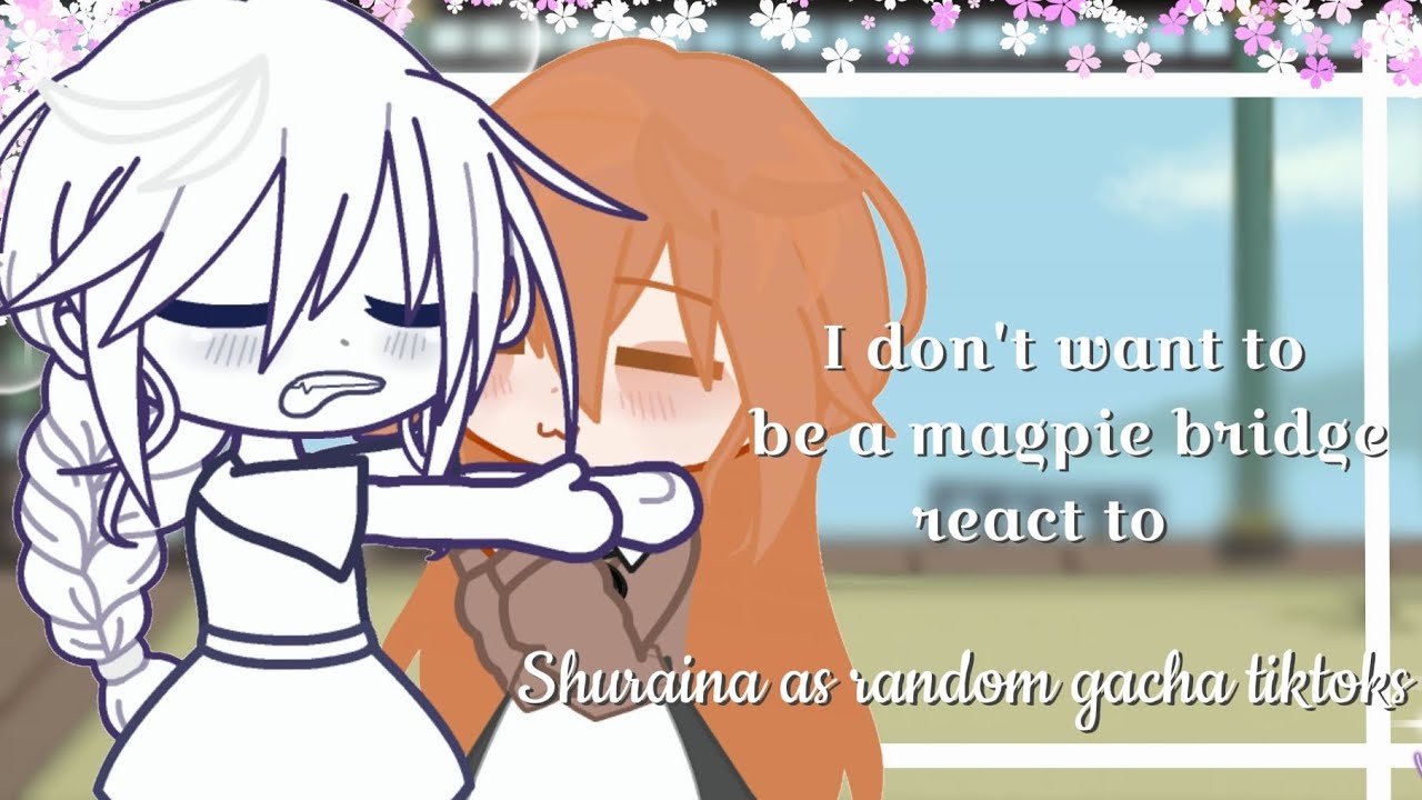 ✨🎀I don't want to be a magpie bridge react to || Shuraina as random gacha tiktoks ||🥀💤