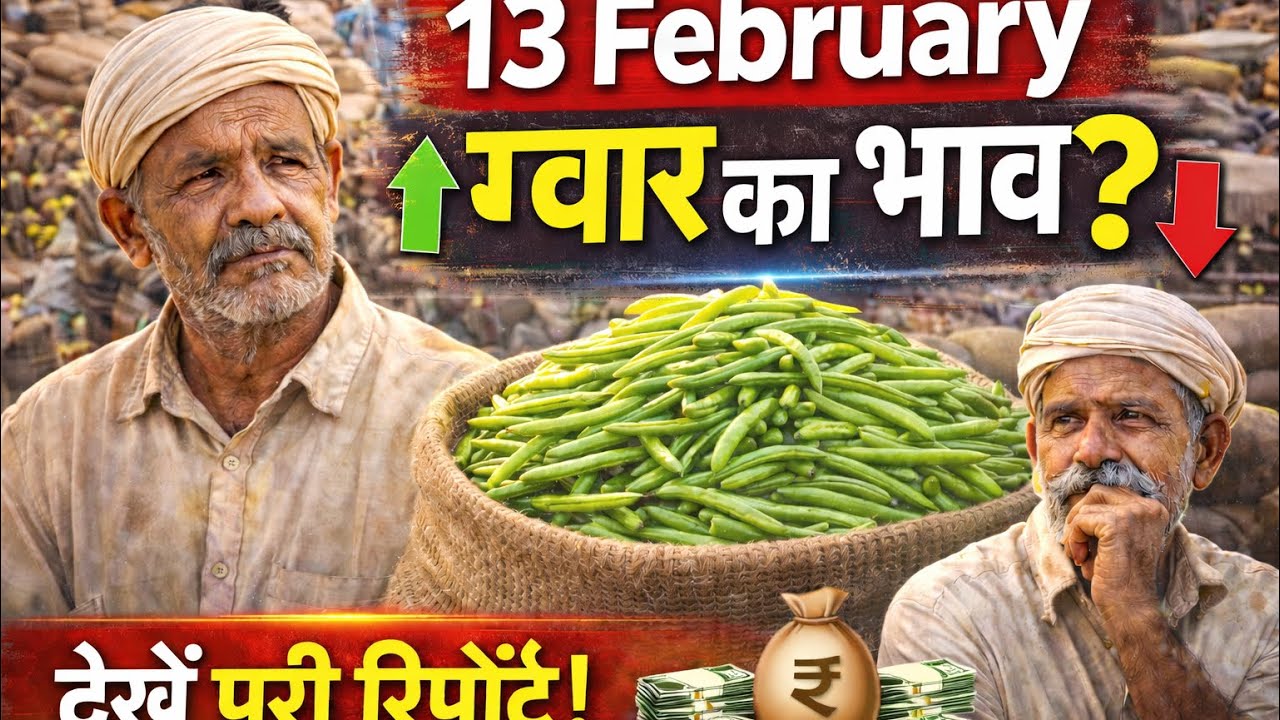 ग्वार भाव | 13 फरवरी 2026 | आज तेजी आएगी या गिरावट? 