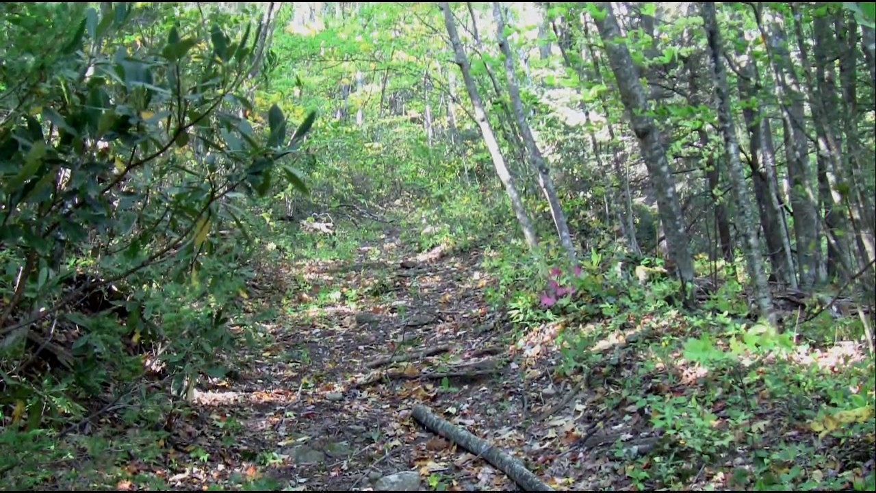 Winter Star Mountain: A Long Road Ahead