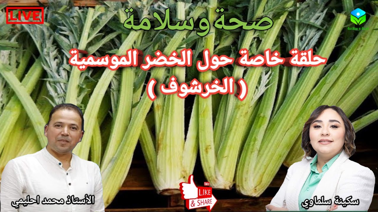 🔴 كل ما تحتاج معرفته عن الخرشوف، فوائده الصحية والقيمة الغذائية مع الأستاذ محمد احليمي اخصائي تغذية