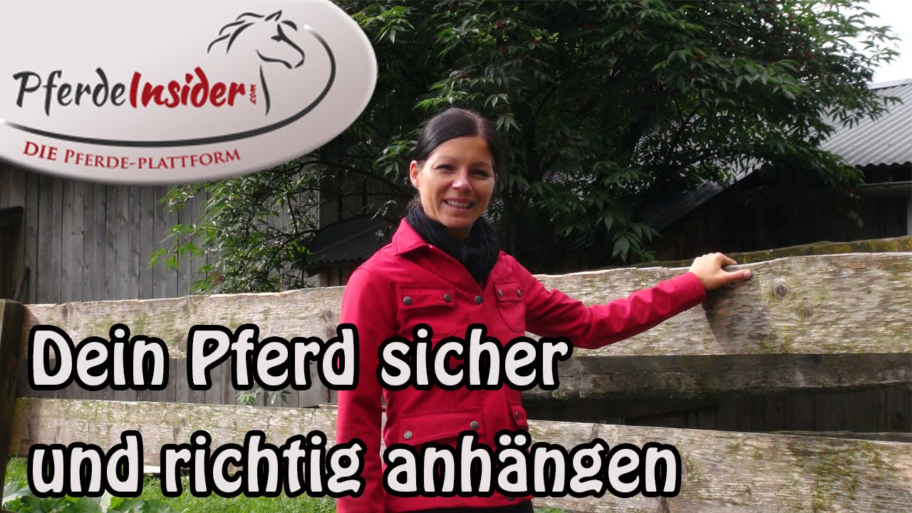 So h&auml;ngst du dein Pferd sicher und richtig an Teil 1