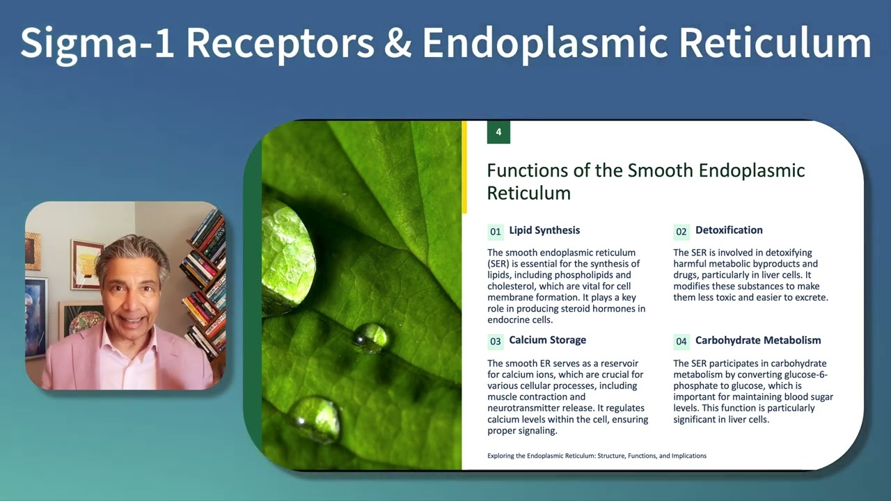 Sigma 1 and Endoplasmic Reticulum