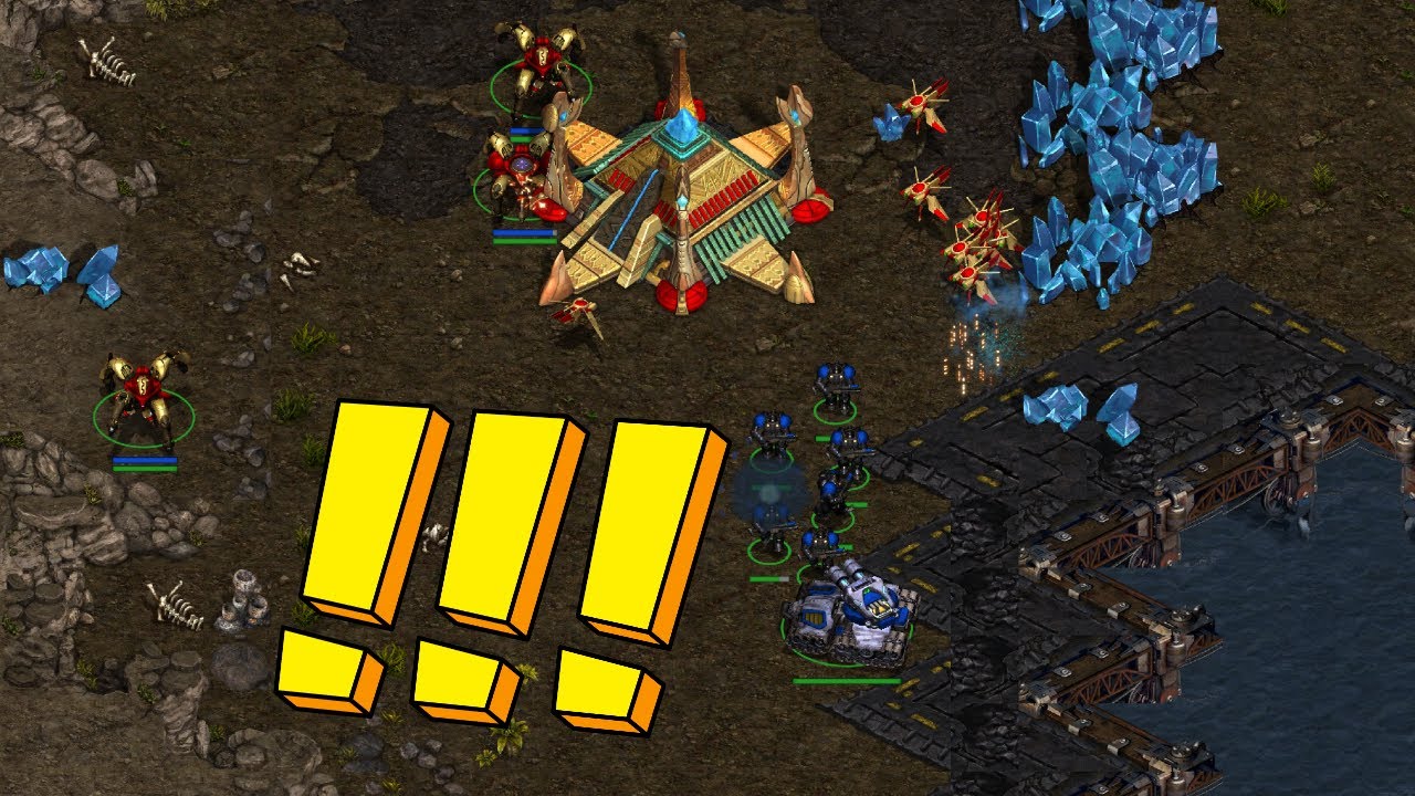 The FUTURE of Terran!