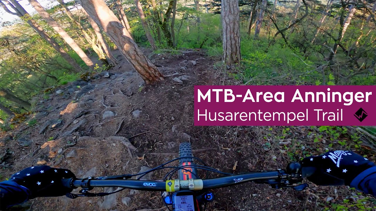 Husarentempel Trail - MTB Area Anninger (Mödling)
