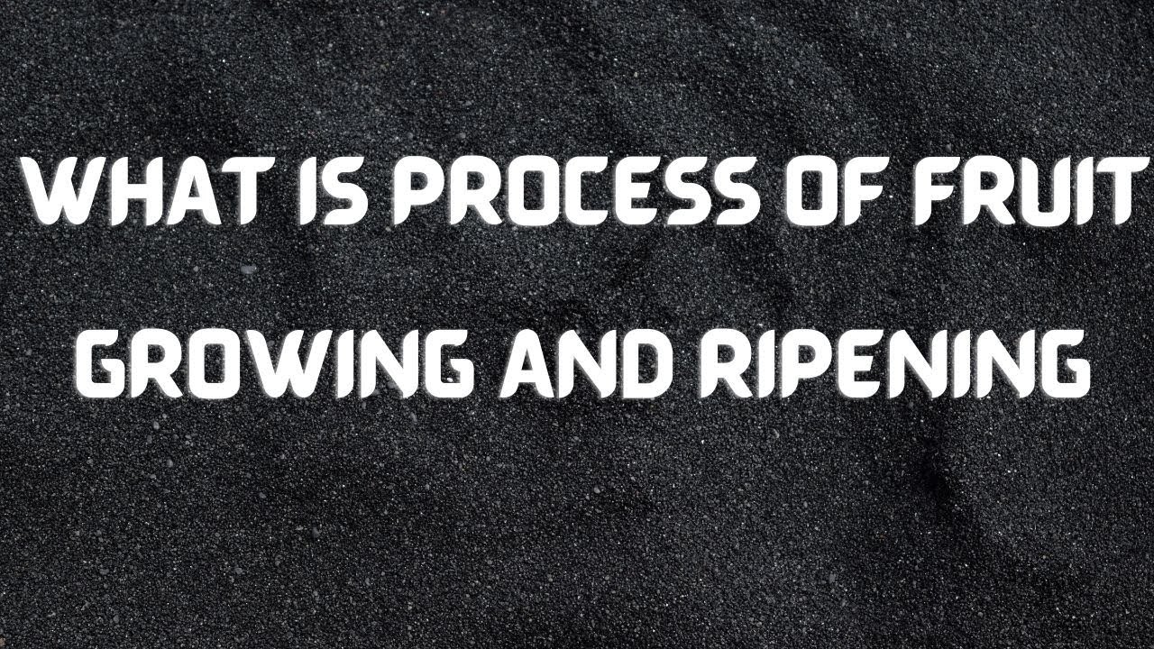 What is process of  Fruit Growing and Ripening