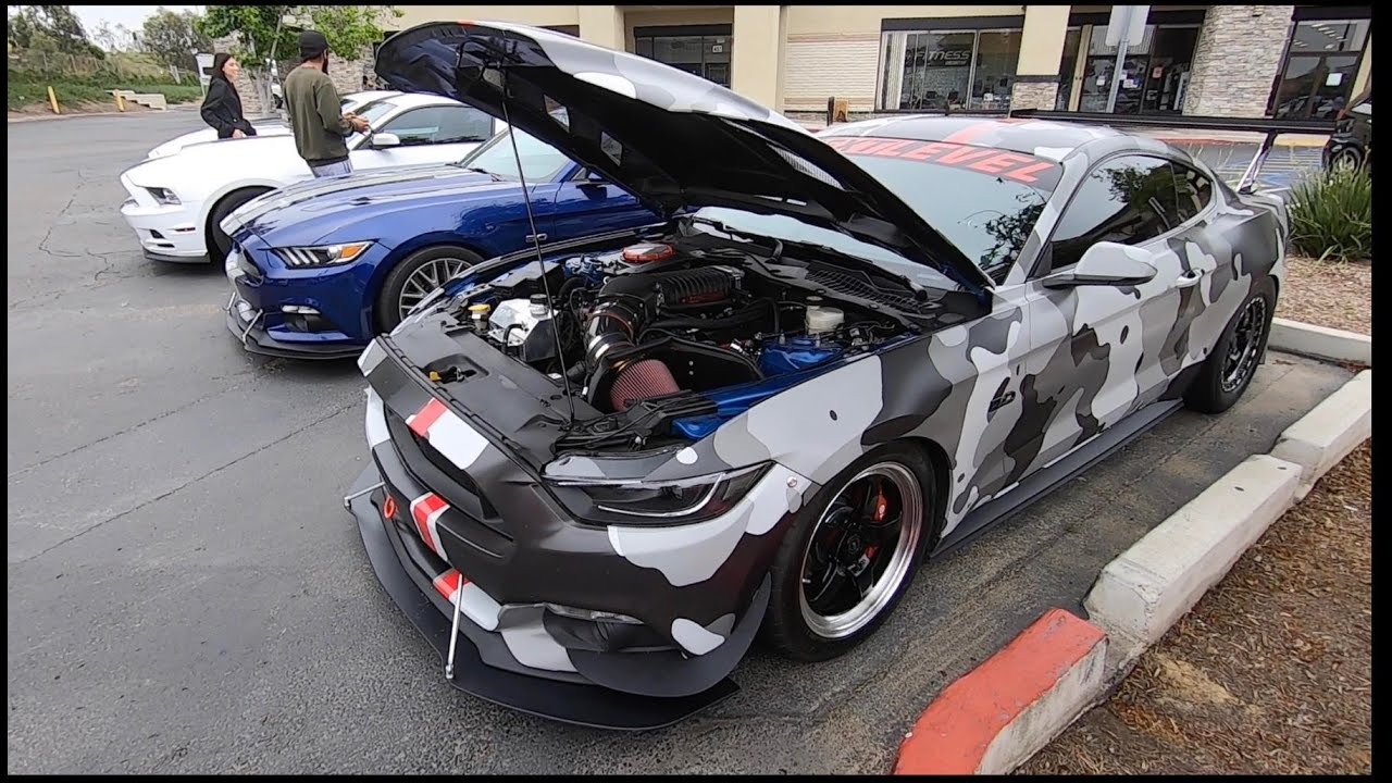 100+ MODIFIED MUSTANGS TAKE OVER THE HIGHWAY *REVS, PULLS, CRUISING**
