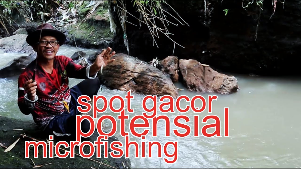 Gacor banget !! Ikan di spot ini semuanya mberot