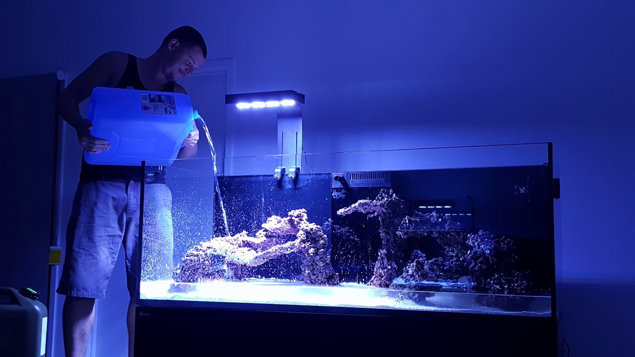 Building a Red Sea Reefer 525 xl