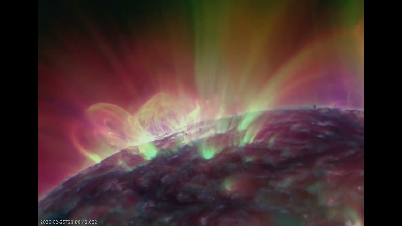 50 hours – southeastern limb of the sun - active regions, coronal loops, solar flares - 26.2.26