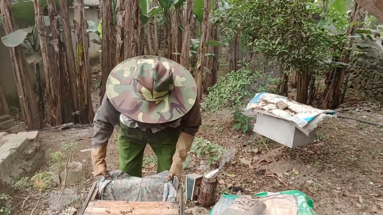 Kiểm tra ong sau ngày nghỉ tết