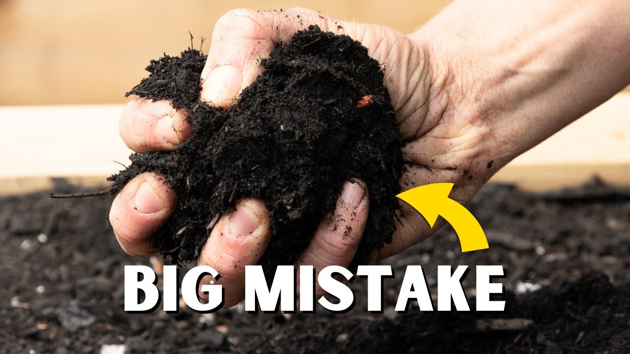 5 Mistakes to Avoid While Creating Soil