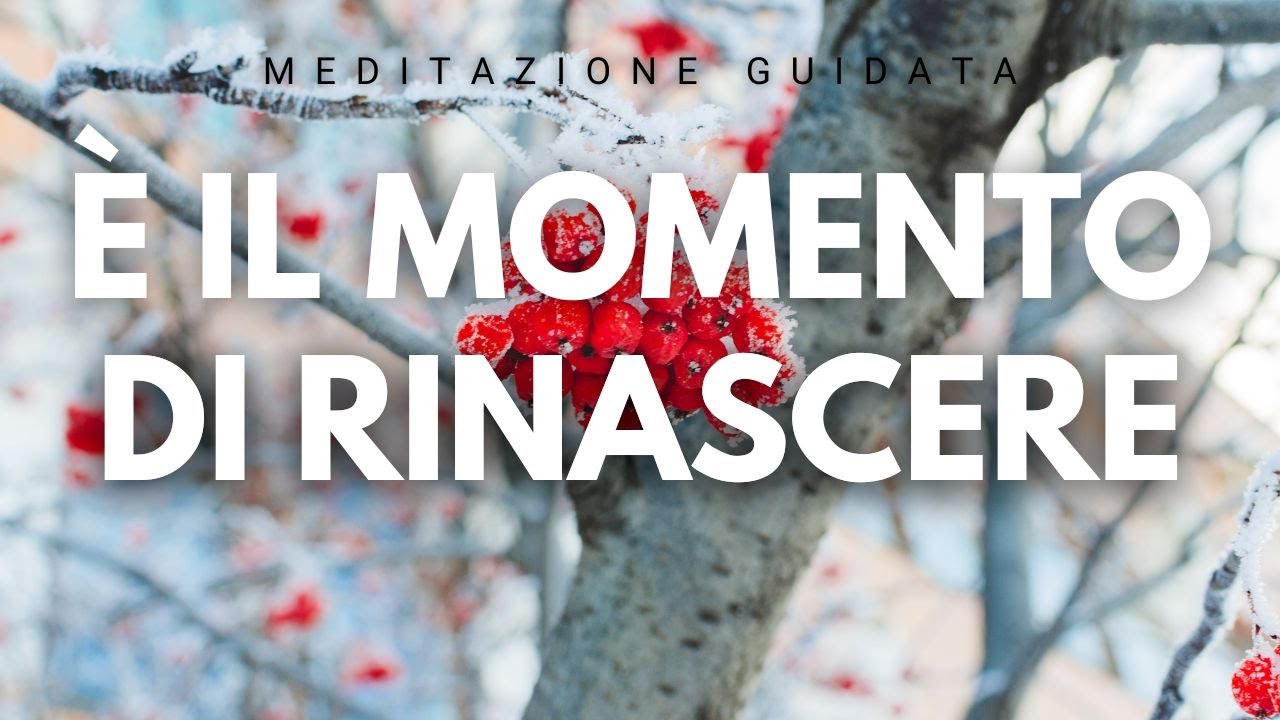 Meditazione Guidata per Iniziare Nuovi Progetti e Attrarre Gioia (15 Minuti)