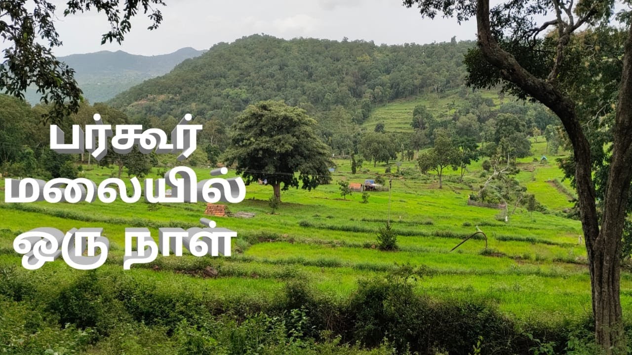 பர்கூர் மலையில் ஒரு நாள் /Bargoor hills /Anthiyur Forest/ Anthiyur hills/
