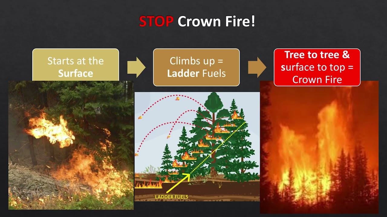 Tools to Reduce Fuels  and the Basics of Fire Behavior