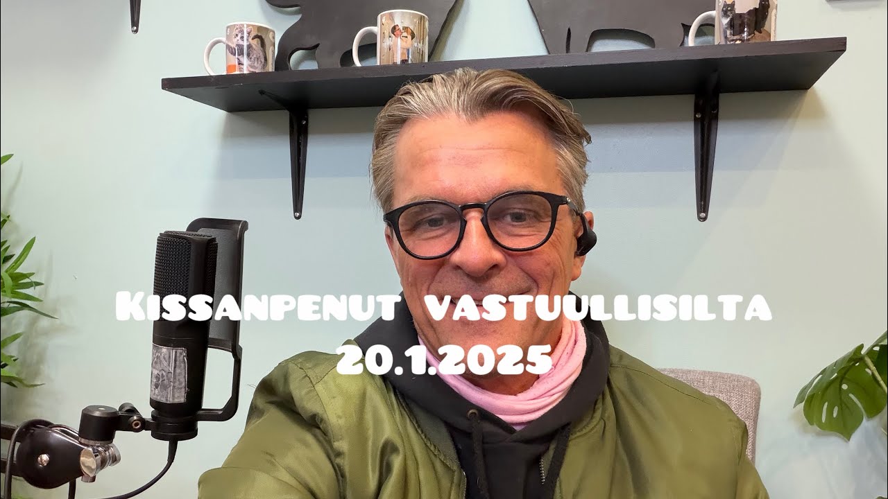Maatiaiskissat on hakusassa. Niitä on paljon, mutta kotia etsii vähän. Pentuja ei löydy mistään❤️. 