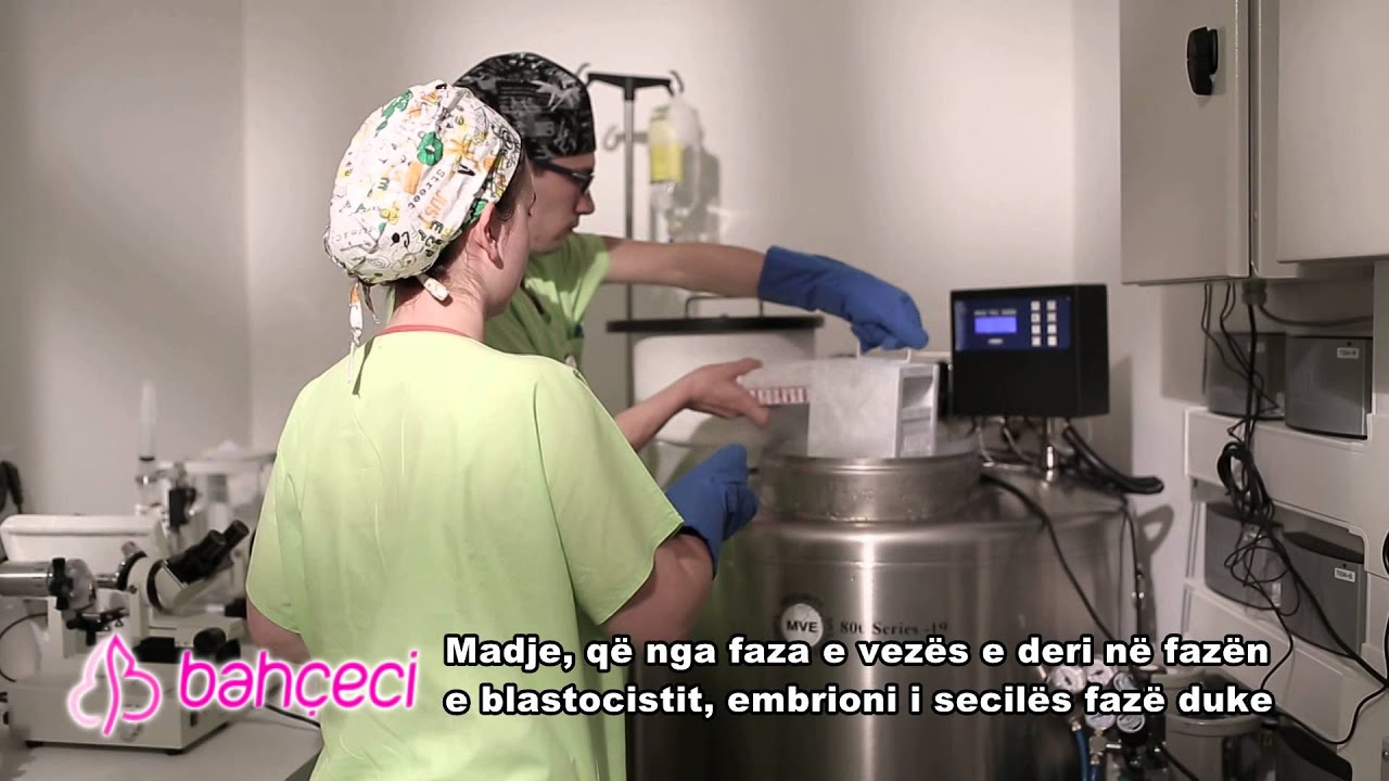 Çka do të thotë procedura e ngrirjes së embrioneve? Si bëhet ajo?