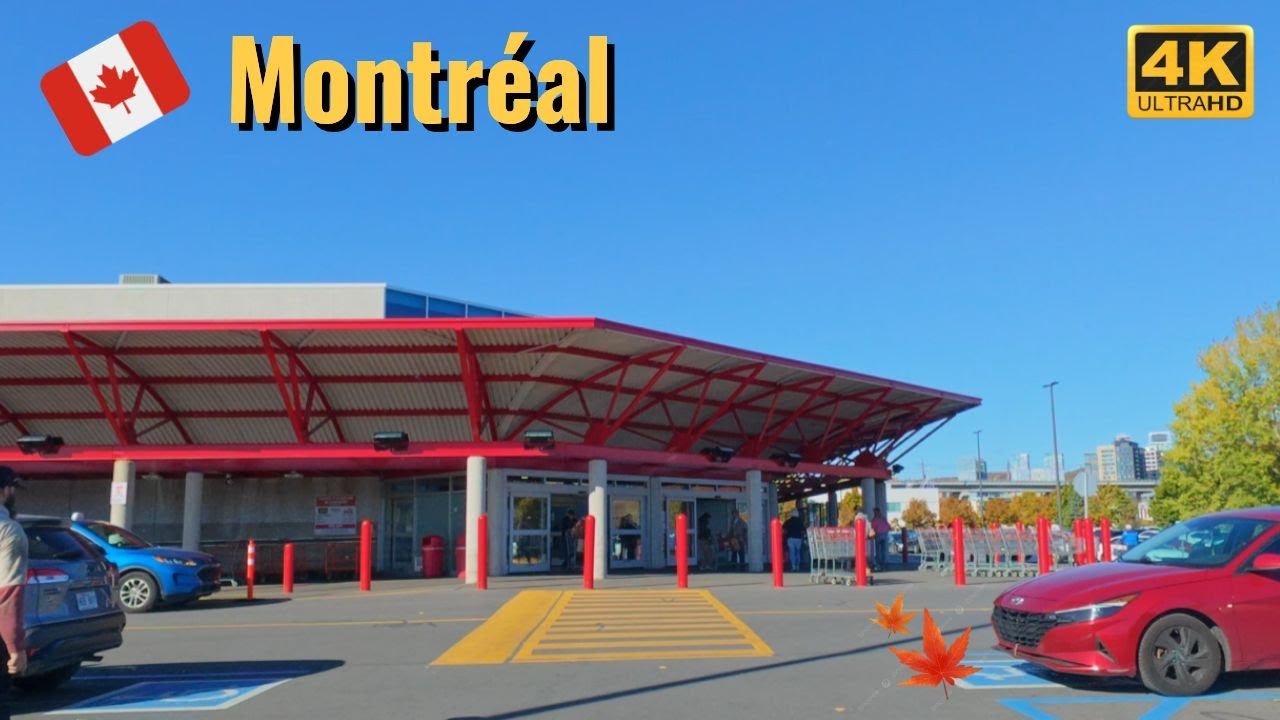 [4K] A Cozy Costco Day in Fall 🍁| Grocery shopping | 
