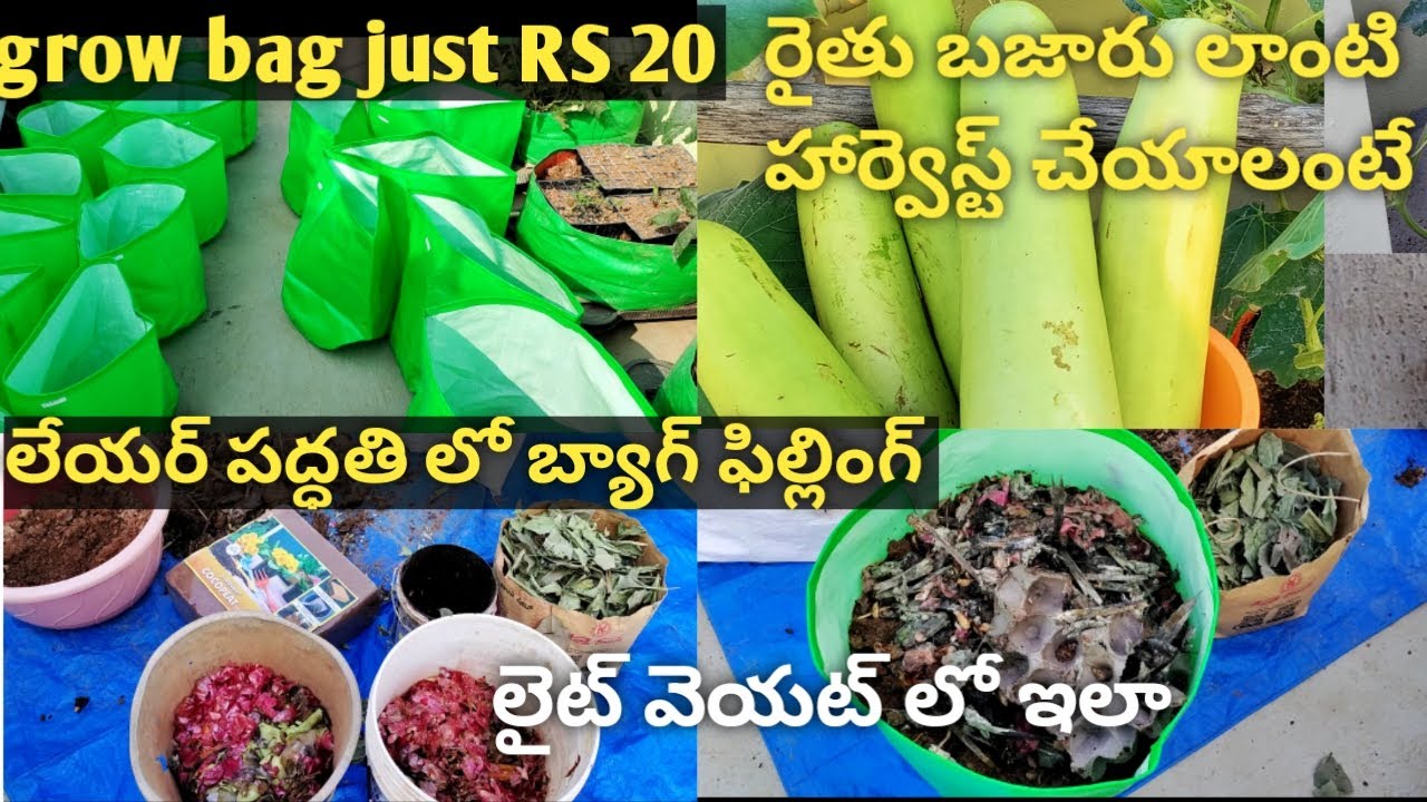 Follow this perfect soil mixing method to get huge yield | Organic Terrace garden
