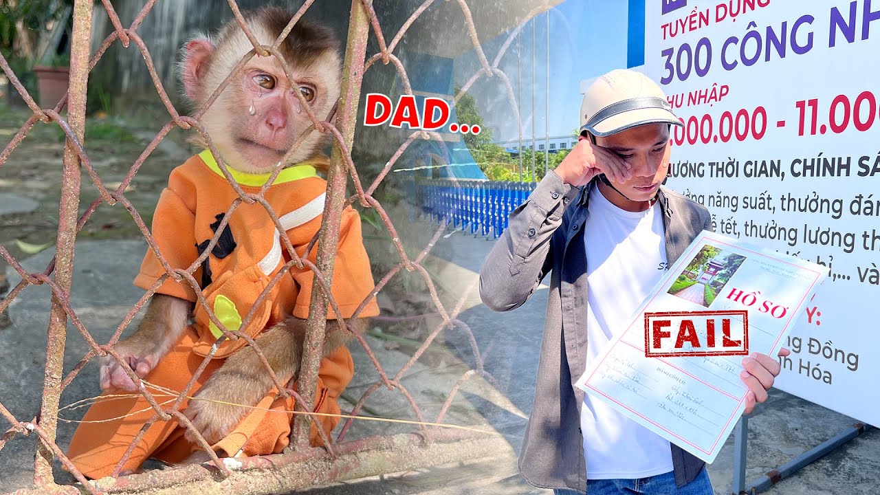 Папа подал заявку на работу, результаты были такими, как и ожидалось