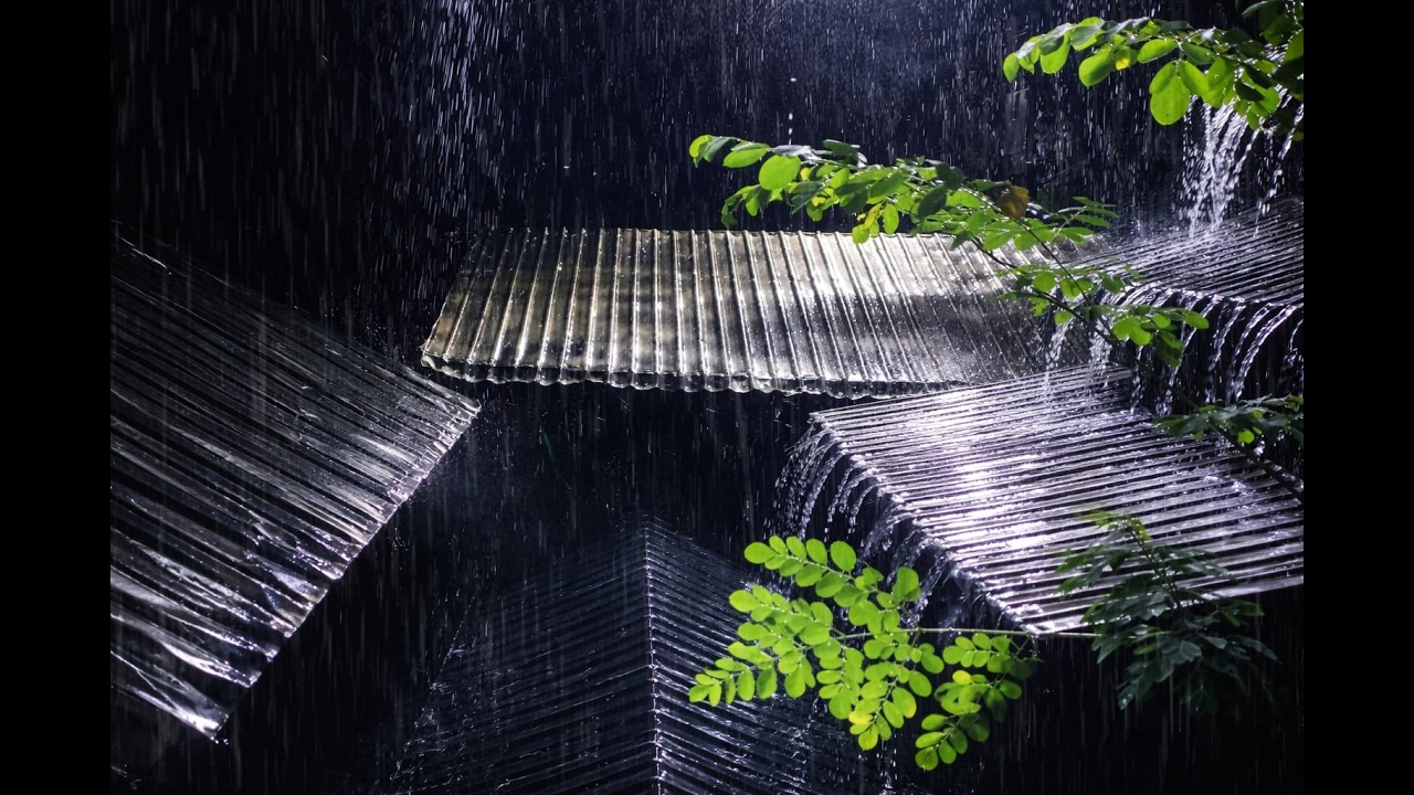 Loud Rain on Tin Roof at Night | Soothing Rain Sounds for Relaxation