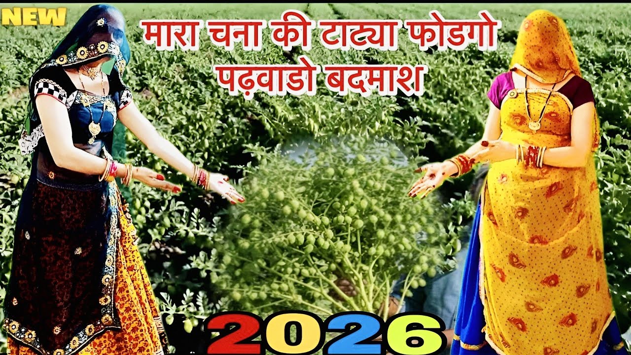 Treding Meena Geet | मारी चना की टाट्या फोड़गो पढ़वालो बदमाश | सरसों लावणी | ramprasad samel 