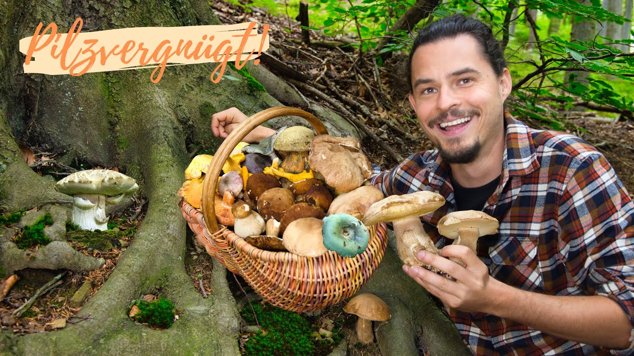 Sommerlicher Pilz-Wahnsinn 2024 😍 massig Steinpilze, Pfiffis, Täublinge sowie spannende Giftpilze 😲