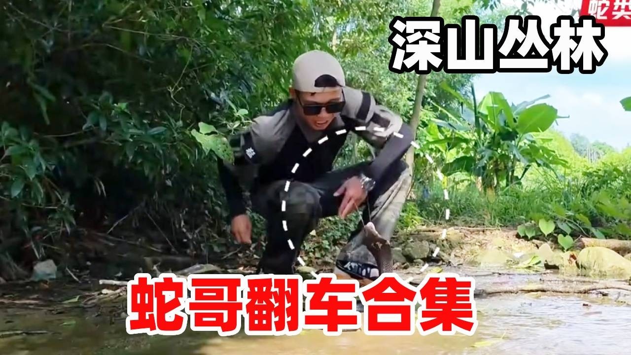 你们不是都好奇蛇哥怕不怕被咬吗？被咬翻车集锦来了！更有被眼王咬后历程！#snake