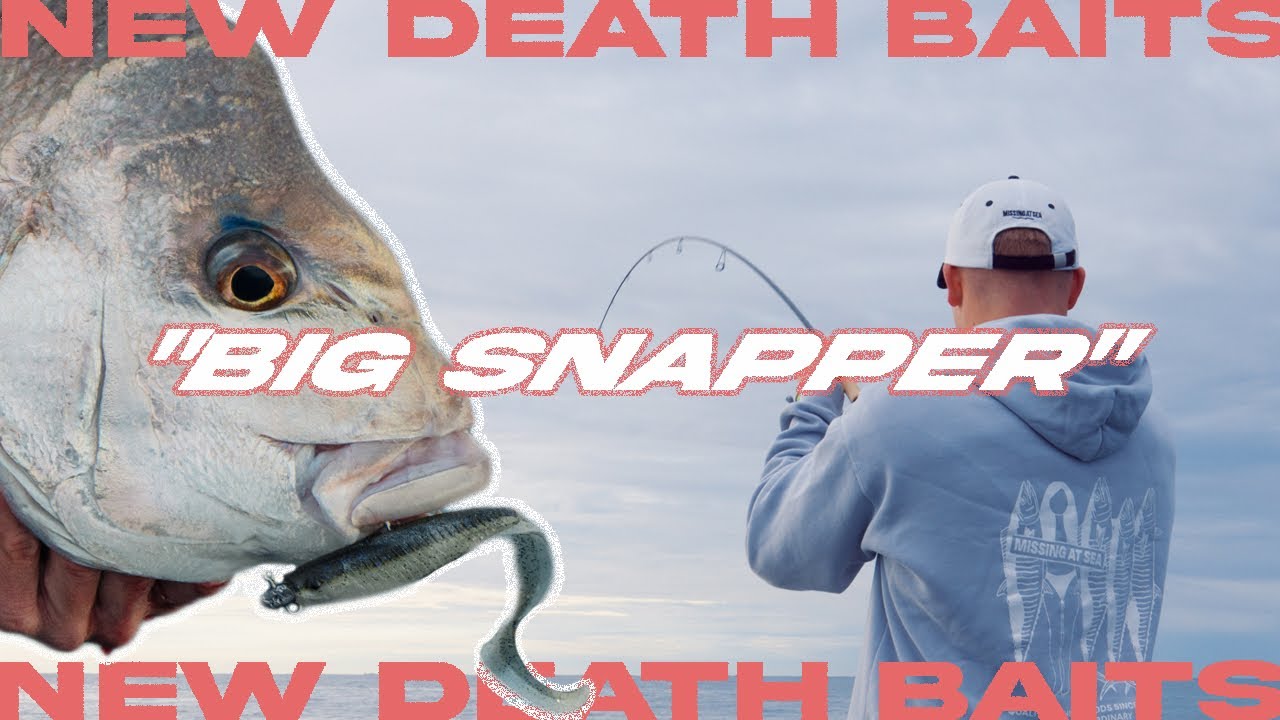 Shallow Water Snapper on 12lb - (New Death Baits)